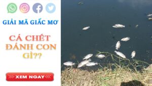 Cá chết đánh con gì và có điềm báo gì?